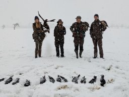 WhatsApp Image 2026-01-11 at 10.14.58